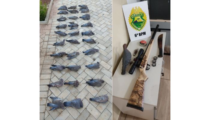 Guaraniaçu – Homem é detido e multado por crime ambiental